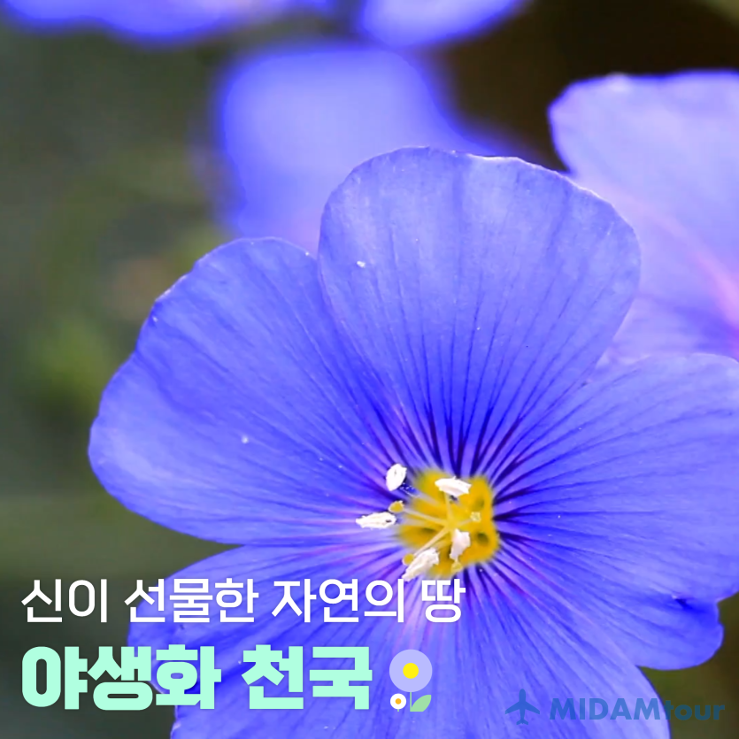 3b52d7607f42f280c49e82778f752151_1779258580_3748.png