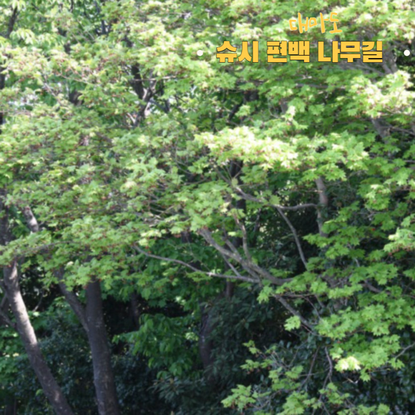 mig_695d6058599f6.jpg