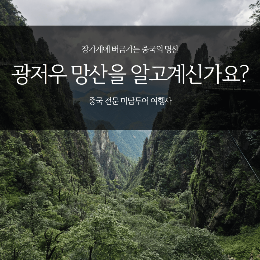 mig_695d6089ab8e9.png