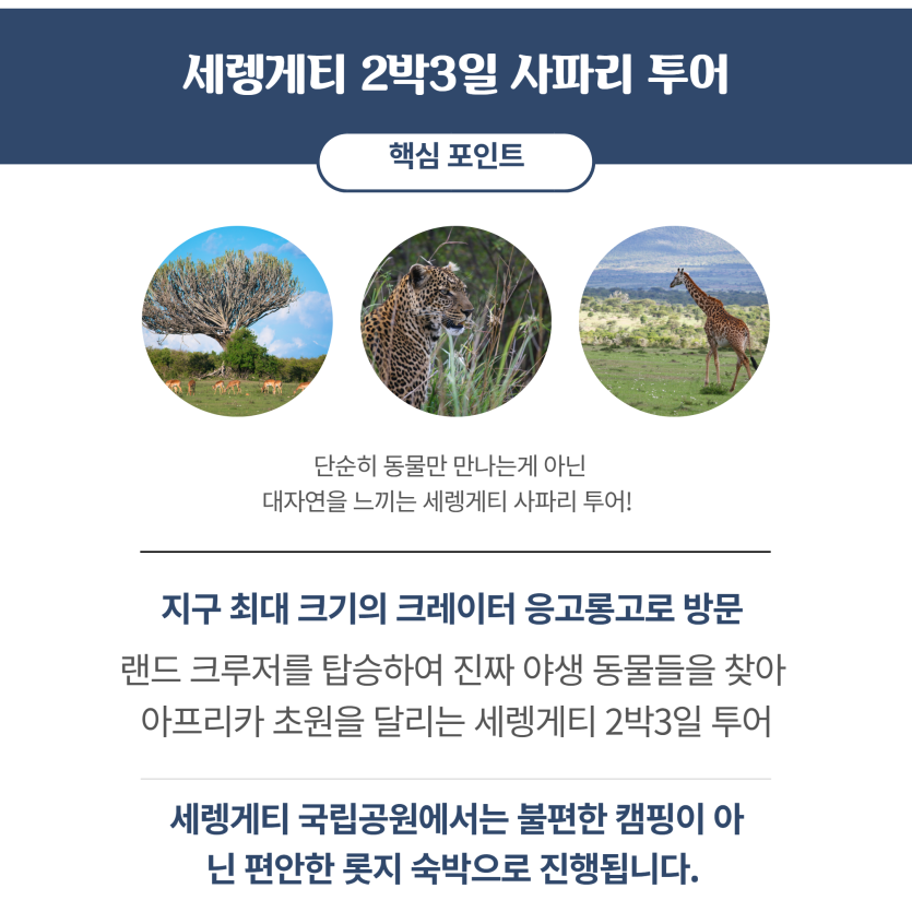 mig_695d60991684c.png