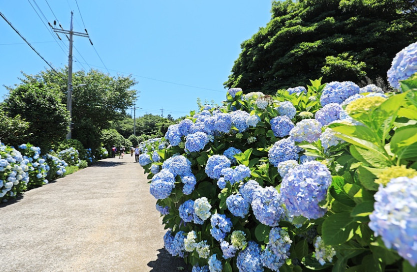 mig_695d60e6657c0.jpg