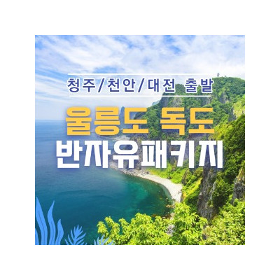 대표