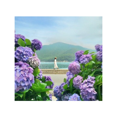대표