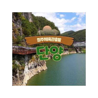 대표