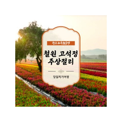 대표