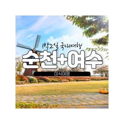 대표