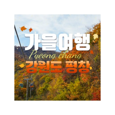 대표