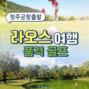 대표