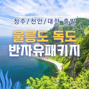대표