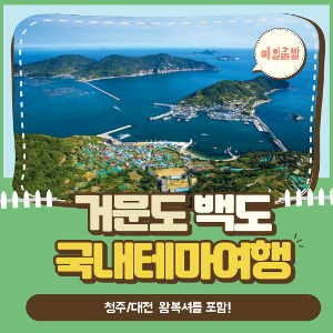 대표