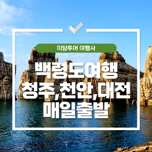 대표