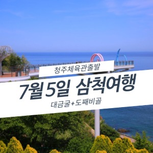 대표