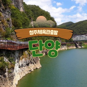 대표