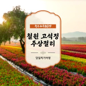 대표