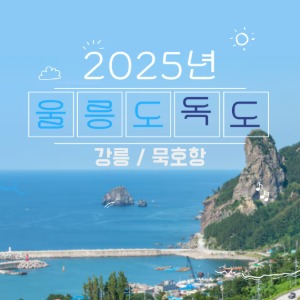 대표