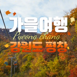 대표