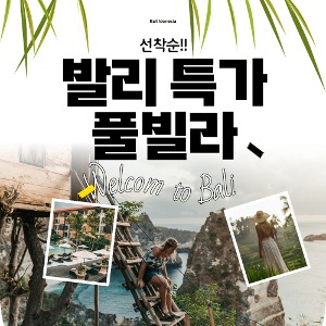 대표