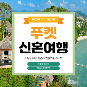 대표