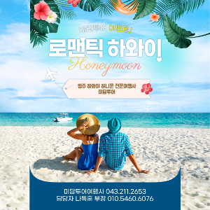 대표