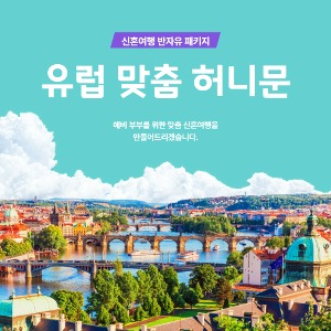 대표